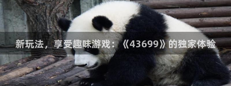 新宝gg—创造奇迹登录1956