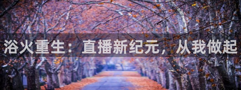 蜘蛛体育直播app下载官网：浴火重生：直播新纪元，从我做起