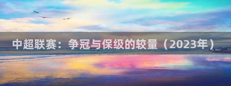 jrs蜘蛛直播球帝带：中超联赛：争冠与保级的较量（2023年）