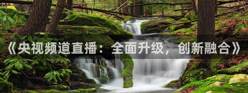 蜘蛛直播体育篮球：《央视频道直播：全面升级，创新融合》