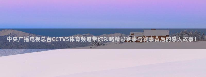 足球小蜘蛛：中央广播电视总台CCTV5体育频道带你领略精彩赛事与赛事背后的感人故事！