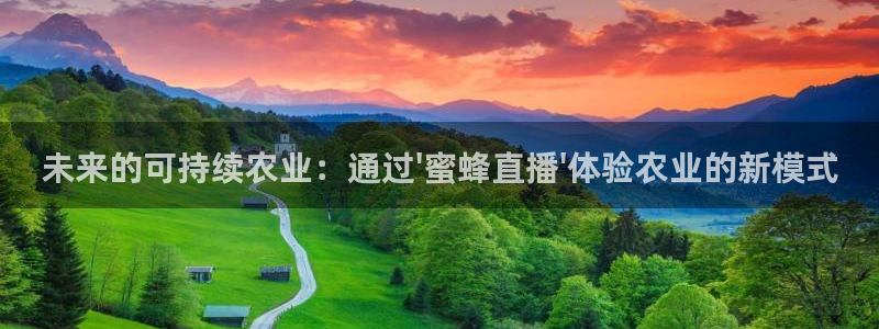 蜘蛛体育：未来的可持续农业：通过\'蜜蜂直播\'体验农业的新模式
