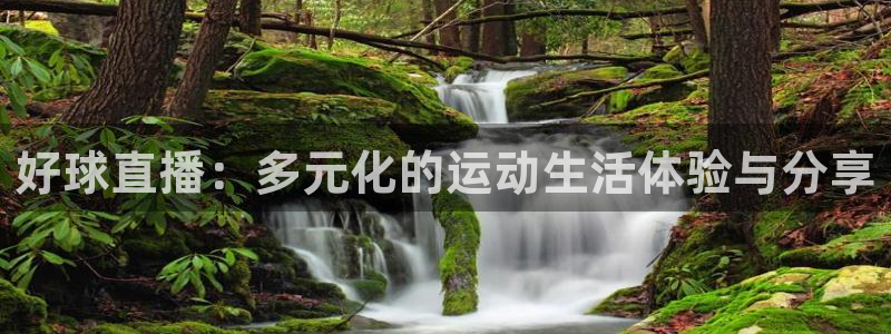 nba直播免费观看直播在线蜘蛛直播：好球直播：多元化的运动生活体验与分享