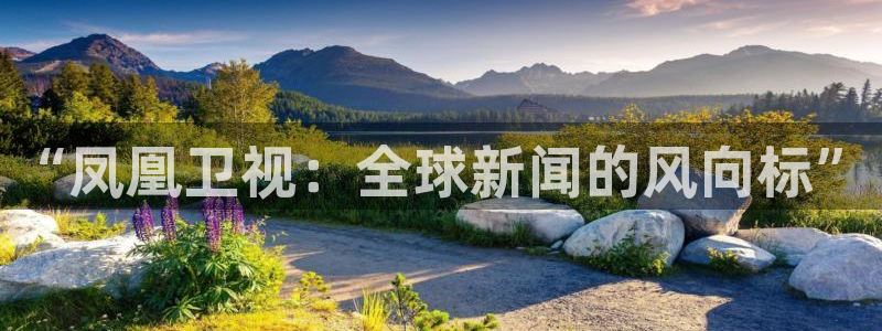 jrs蜘蛛直播nba免费：“凤凰卫视：全球新闻的风向标”