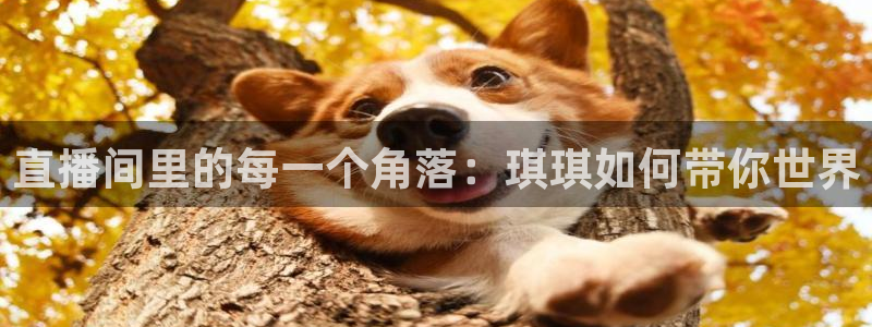 蜘蛛直播体育nba：直播间里的每一个角落：琪琪如何带你世界