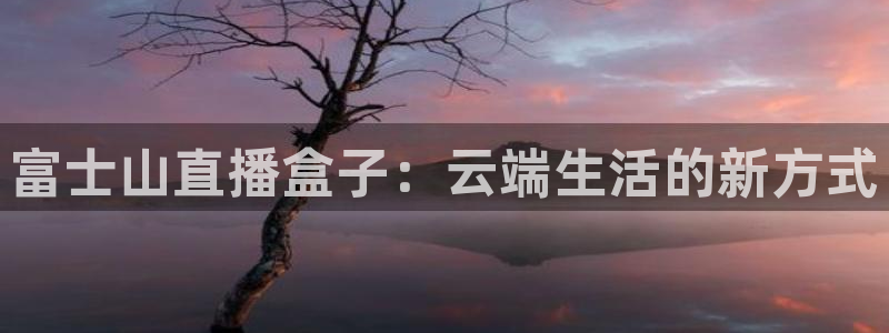 jrs蜘蛛直播nba免费：富士山直播盒子：云端生活的新方式