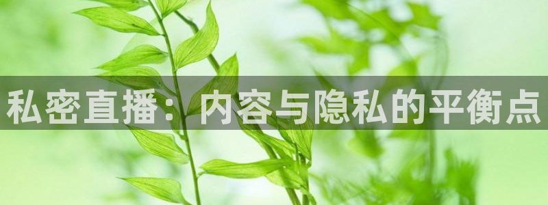 蜘蛛直播nba直播在线直播：私密直播：内容与隐私的平衡点