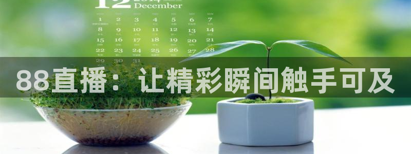 蜘蛛体育免费：88直播：让精彩瞬间触手可及