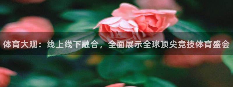 蜘蛛直播高清体育免费下载：体育大观：线上线下融合，全面展示全球顶尖竞技体育盛会